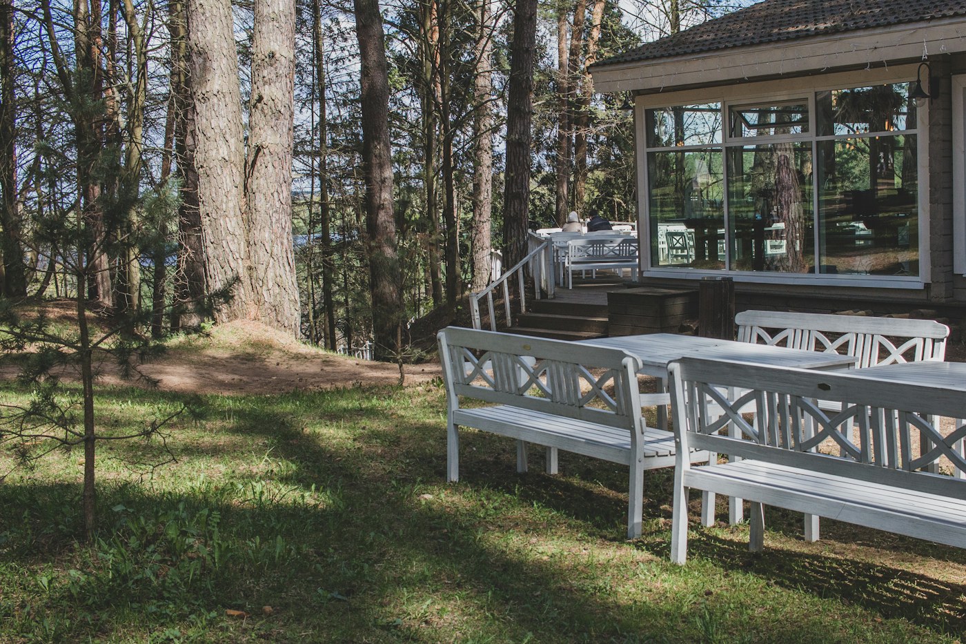 Professional wood deck service example